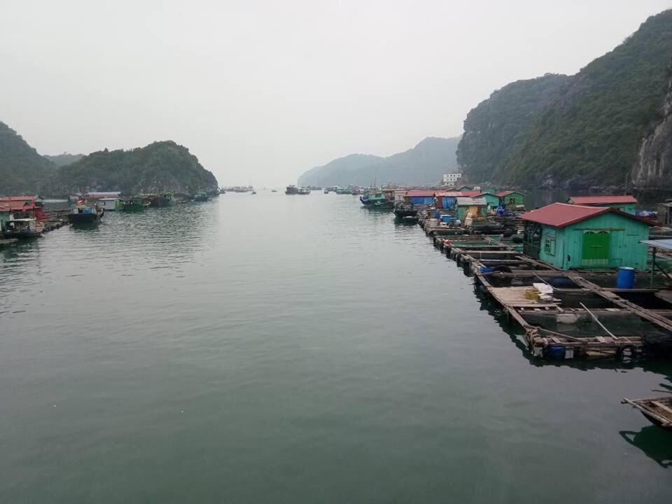 Cat Ba Daily Life Hotel Dong Khe Sau Luaran gambar